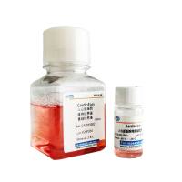 CardioEasy®人心肌细胞维持培养基