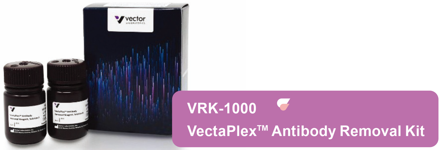 VectaPlex™ Antibody Removal Kit ——简化您的多重免疫荧光(mIHC)染色 VectaPlex™ Antibody Removal Kit ——简化您的多重免疫荧光(mIHC)染色