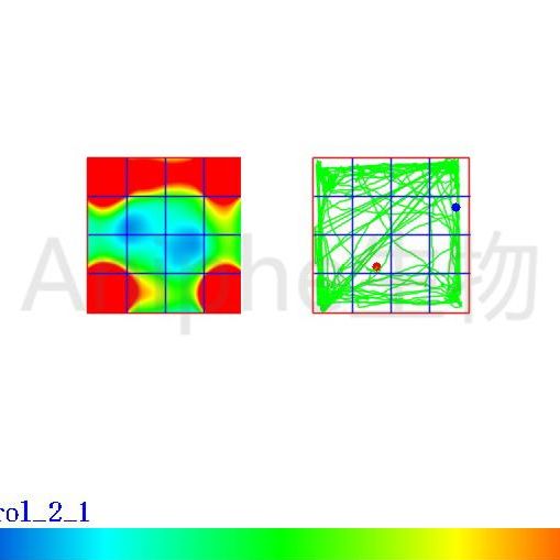 自发活动/旷场实验open field test