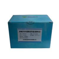 血浆/血清游离DNA提取试剂盒(磁珠法)