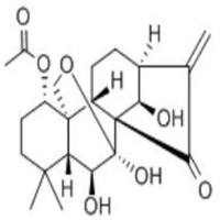 毛栲利素28957-08-6