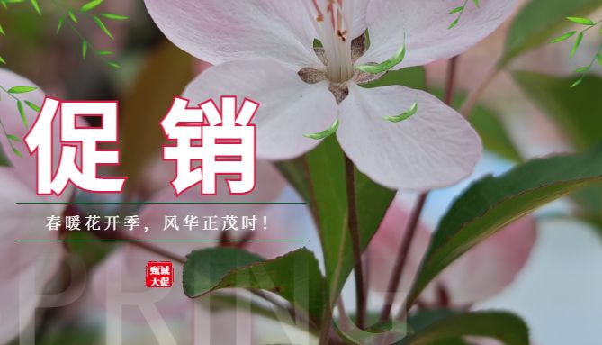 春暖花开季，风华正茂时！Umibio 甄诚促销如期而至！
