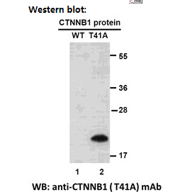 QQ截图20210201111404.png QQ截图20210201111404.png