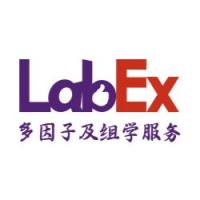 小鼠细胞因子/趋化因子-36因子Panel