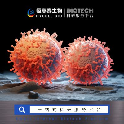 细胞能量代谢OCR/ECAR