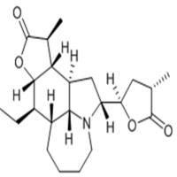 Tuberostemonine D1627827-84-2