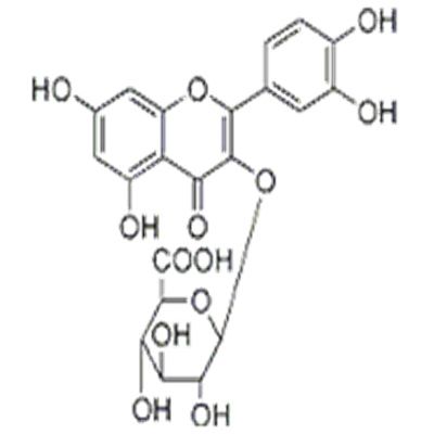 槲皮素-3-O-β-D-吡喃葡糖苷酸22688-79-5