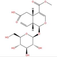 断氧化马钱子苷58822-47-2