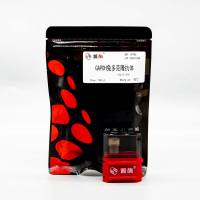 LF206 GAPDH兔多克隆抗体