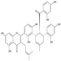 桑黄酮K88524-66-7