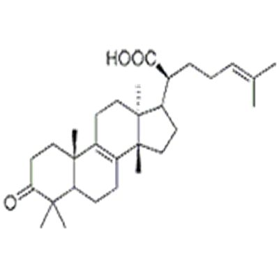 β-榄香酮酸28282-25-9
