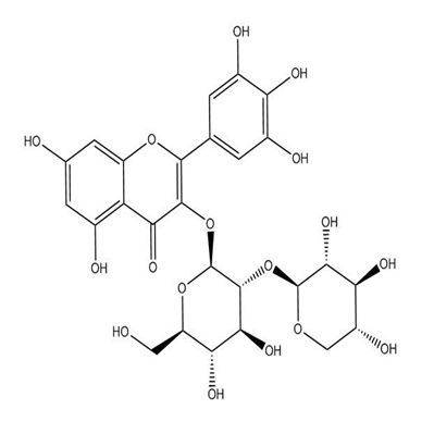 杨梅素-3-O-β-D-木糖（1-2）-β-D-葡萄糖苷142449-93-2