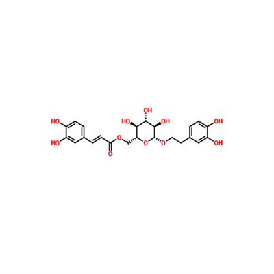木通苯乙醇苷B105471-98-5