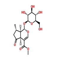 马鞭草苷548-37-8