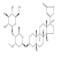 杠柳毒苷13137-64-9