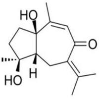 莪术二醇116425-35-5