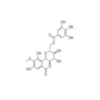 11-O-没食子酰岩白菜素82958-44-9 