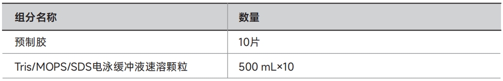 雅酶LK302 SuperPAGE™ 预制胶,Bis-Tri