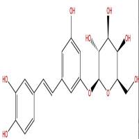 白皮杉醇葡萄糖苷29884-49-9