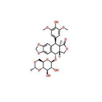 依托泊苷33419-42-0