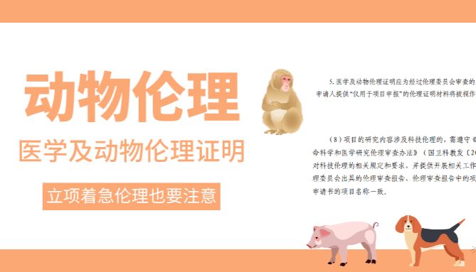 申请立项很着急，伦理细节要注意
