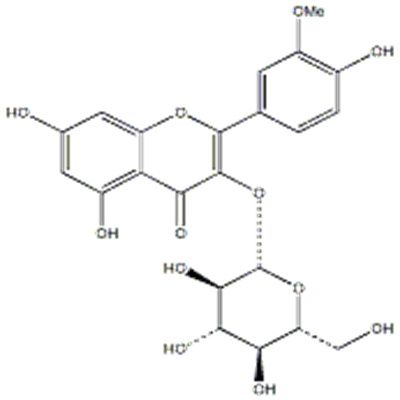 异鼠李素-3-O-葡萄糖苷5041-82-7