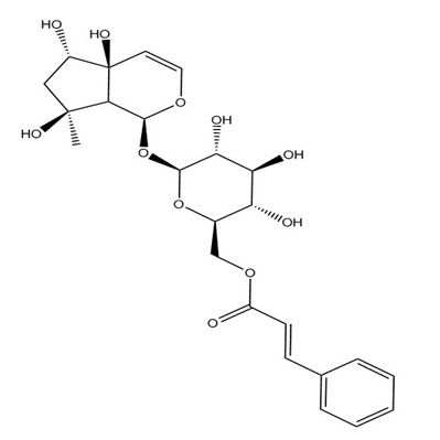 6'-O-肉桂酰基哈巴苷1245572-24-0