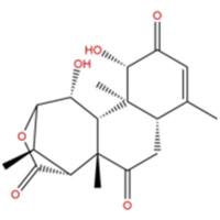 东革内酯23062-24-0