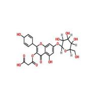 芹菜素7-O-(6”-O-丙二酸单酰)-β-D-葡萄糖苷86546-87-4