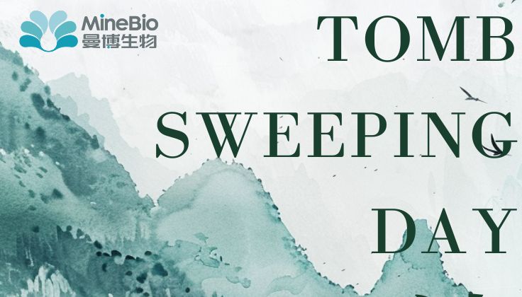 细雨清明，踏青赏景 | 曼博生物祝清明安康