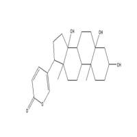 远华蟾蜍精472-26-4