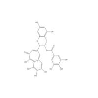 表茶黄棓灵 3-O-没食子酸酯102067-92-5