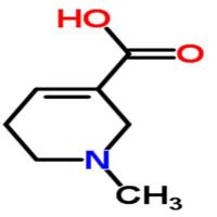 槟榔次碱499-04-7