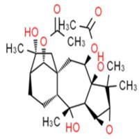 闹羊花毒素I26116-88-1