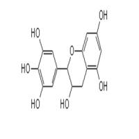 表没食子儿茶素970-74-1 