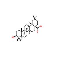 齐墩果酸508-02-1