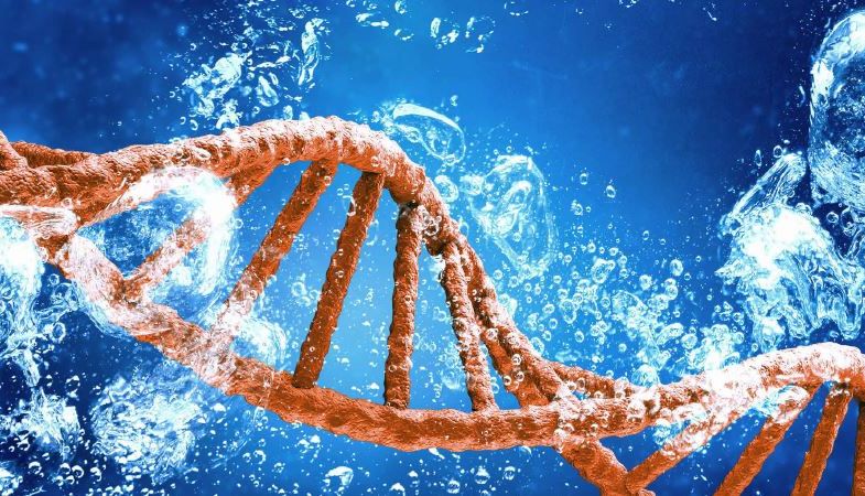 【推荐】唾液：呼吸道多重检测的最理想样本