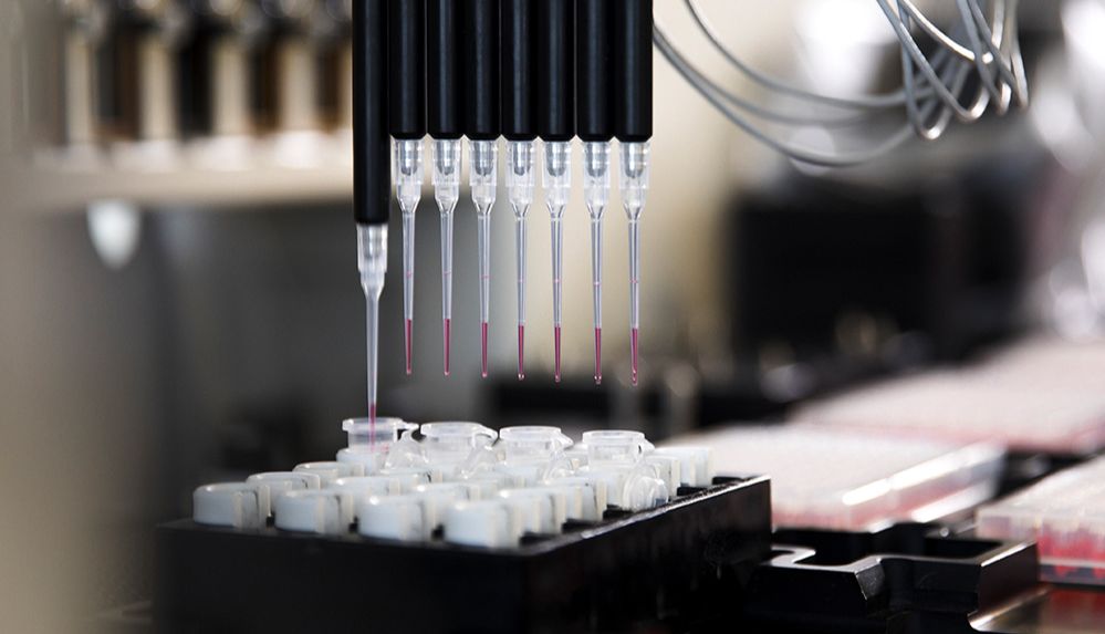 【推荐】效率翻倍！揭秘高通量分子诊断解决方案