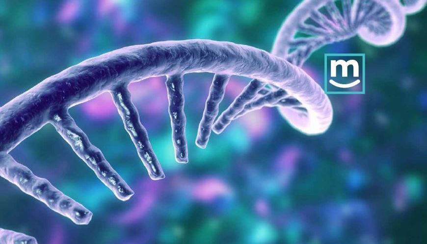 【新品】无甘油Tth DNA聚合酶：集逆转录和聚合活性一体的双功能酶！