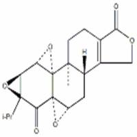雷公藤内酯酮38647-11-9