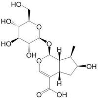 马钱苷酸22255-40-9