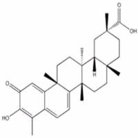 雷公藤红素34157-83-0