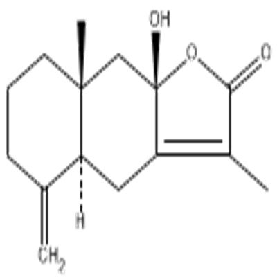 白术内酯III73030-71-4