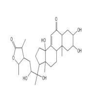 杯苋甾酮17086-76-9 