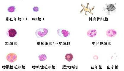 新闻图片1