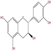 (+)-儿茶素154-23-4