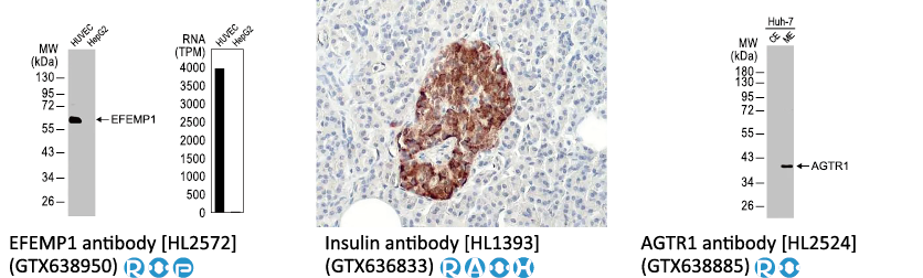 六码一抗 不分包装~全面EXTRA 5% OFF! 六码一抗 不分包装~全面EXTRA 5% OFF!