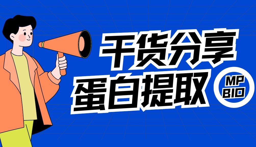 干货分享 | 蛋白样本提取的关键在哪儿？