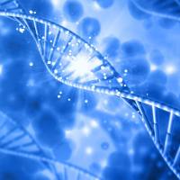 Human/Cynomolgus TL1A Protein; His Tag蛋白