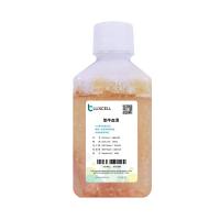 LuxCell乐赛 特优级胎牛血清—C+A环境生产（GMP合规）